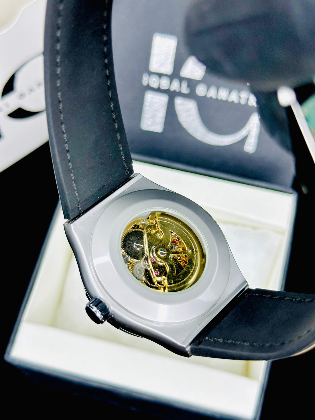 HB Automatic Skeleton | Blue